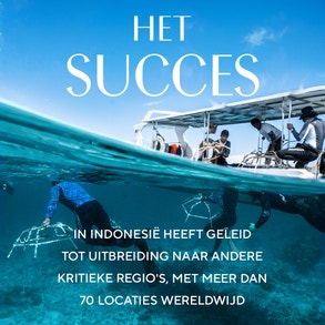 J3712_B741_P975_Sheba_global_2024_Nl