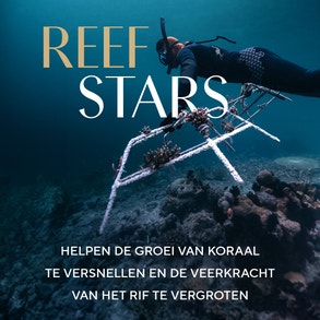 J3712_B741_P975_Sheba_global_2024_NL