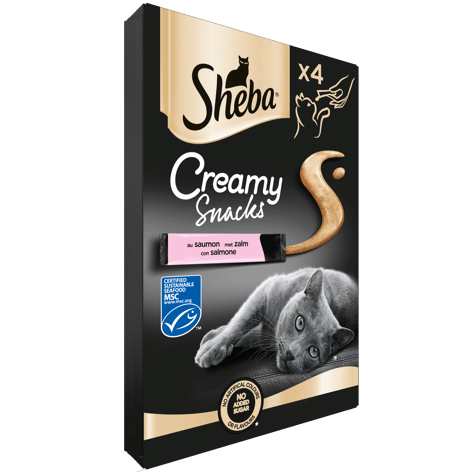 Creamy Snacks Zalm