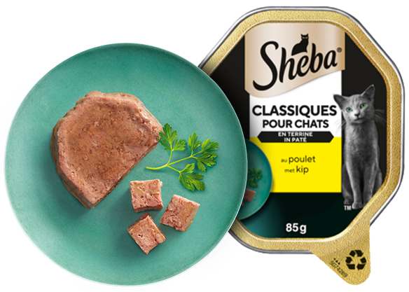 Sheba Classics Paté met Kip 85g