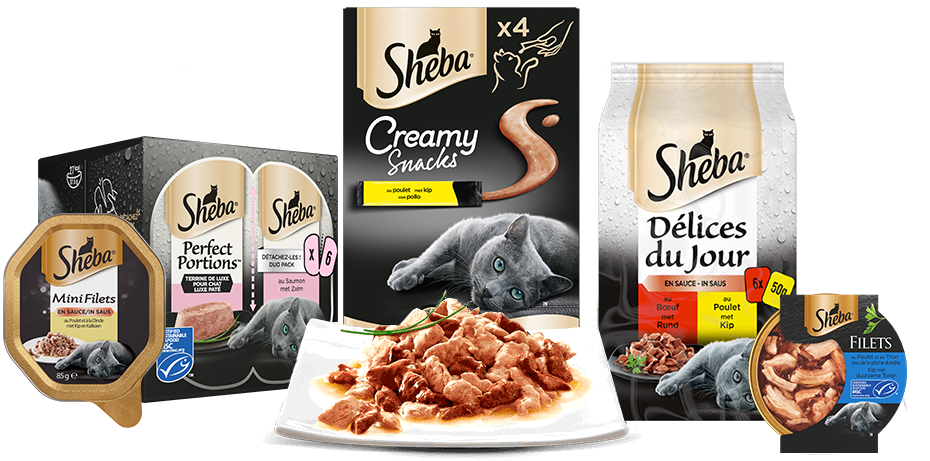 Ontdek het perfecte menu voor je kat